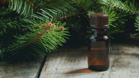 How to Use Essential Oils for Better Sleep: A Natural Path to Sweet Dreams 💤🌿